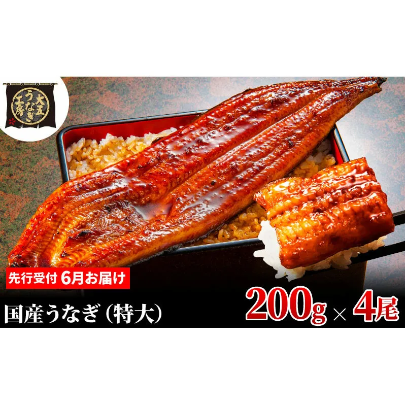 先行受付 【6月上旬配送】 うなぎ蒲焼 200g×4尾(800g) うなぎ 鰻 蒲焼 蒲焼き 大五通商 静岡 島田市