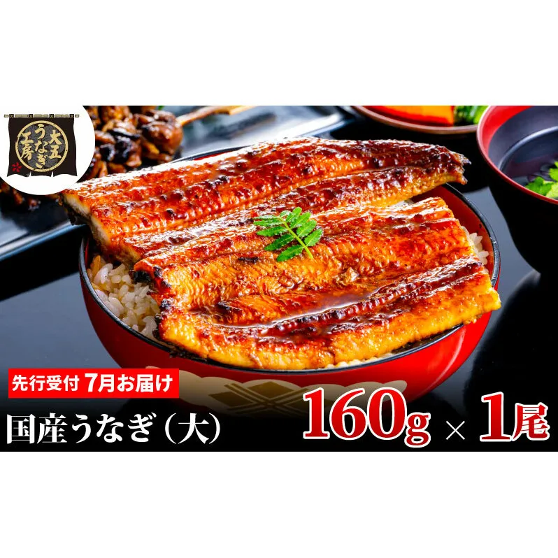 先行受付 【7月上旬配送】 うなぎ蒲焼 160g×1尾 うなぎ 鰻 蒲焼 蒲焼き 大五通商 静岡 島田市