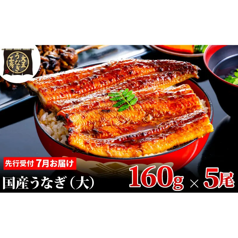 先行受付 【7月上旬配送】 うなぎ蒲焼 160g×5尾(800g) うなぎ 鰻 蒲焼 蒲焼き 大五通商 静岡 島田市