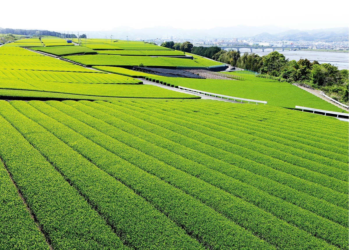 静岡県島田市