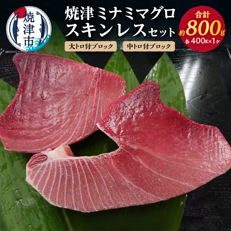 a31-011　焼津ミナミマグロスキンレスセット