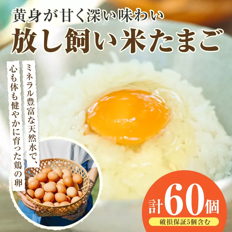 放し飼い米たまご55個+5個保証（計60個）