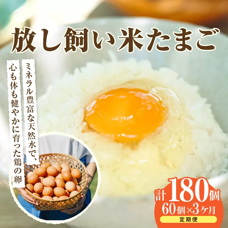 【3ヶ月定期便】放し飼い米たまご55個+5個保証（計60個）