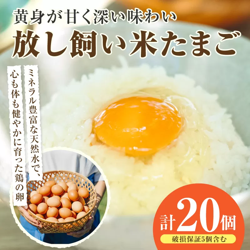 放し飼い米たまご15個+5個保証（計20個）