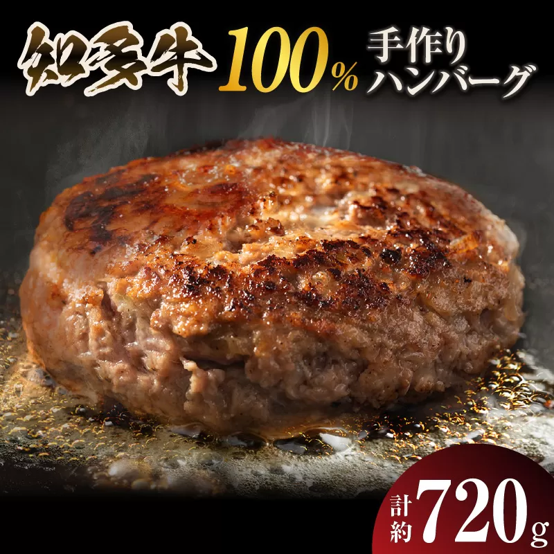 知多牛100％手作りハンバーグ　120g×6個入り