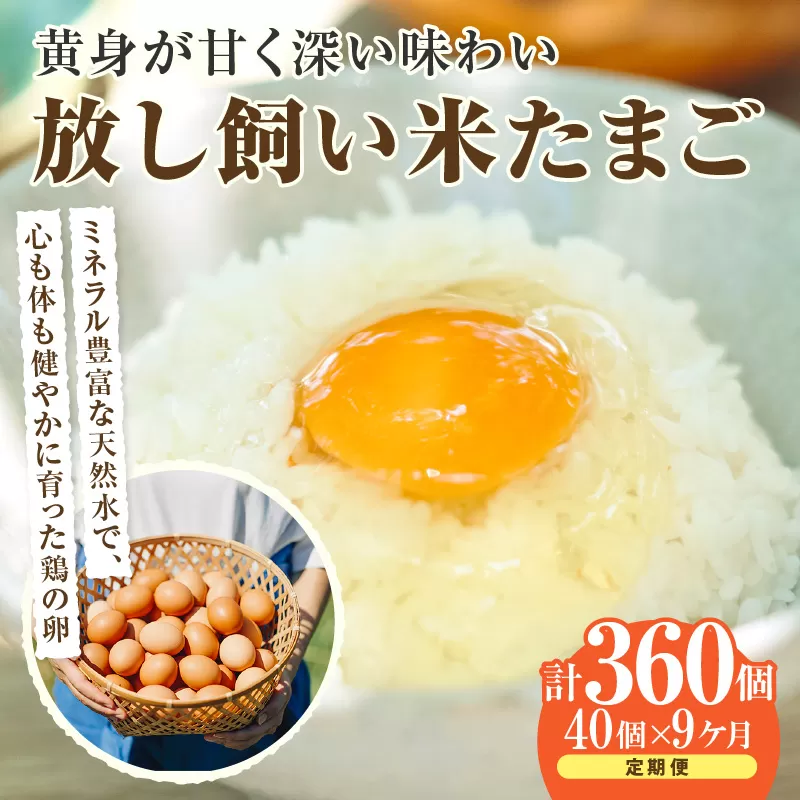 【9ヶ月定期便】放し飼い米たまご35個+5個保証（計40個）