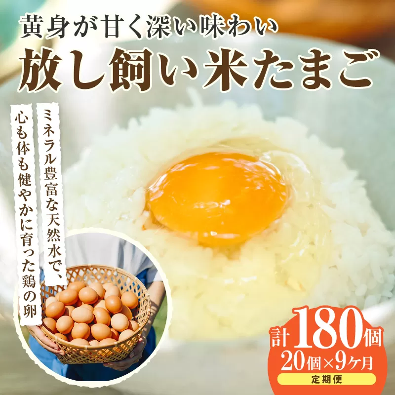 【9ヶ月定期便】放し飼い米たまご15個+5個保証（計20個）