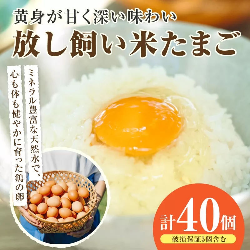 放し飼い米たまご35個+5個保証（計40個）