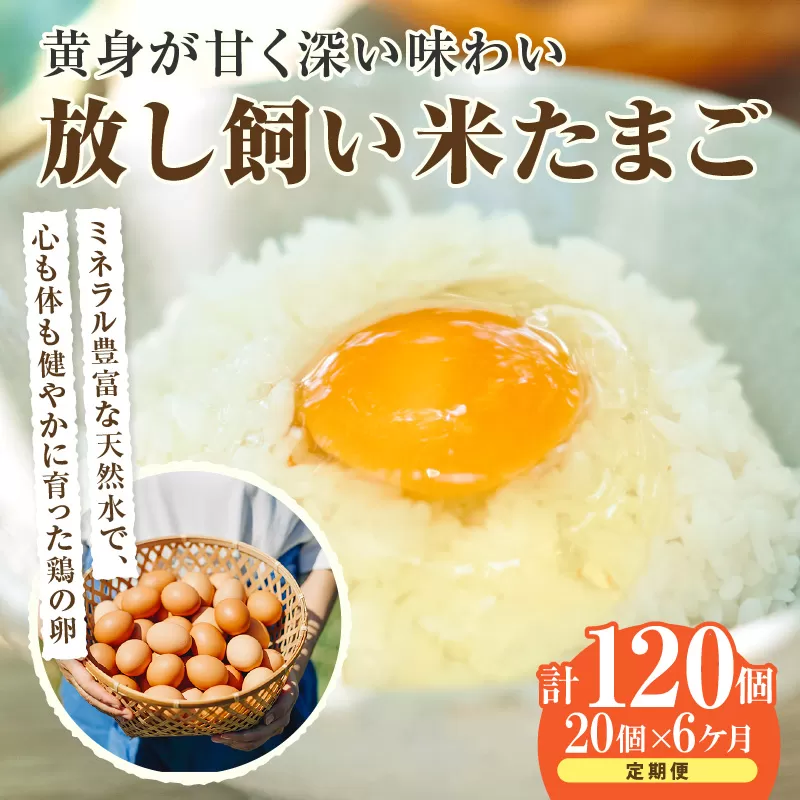 【6ヶ月定期便】放し飼い米たまご15個+5個保証（計20個）