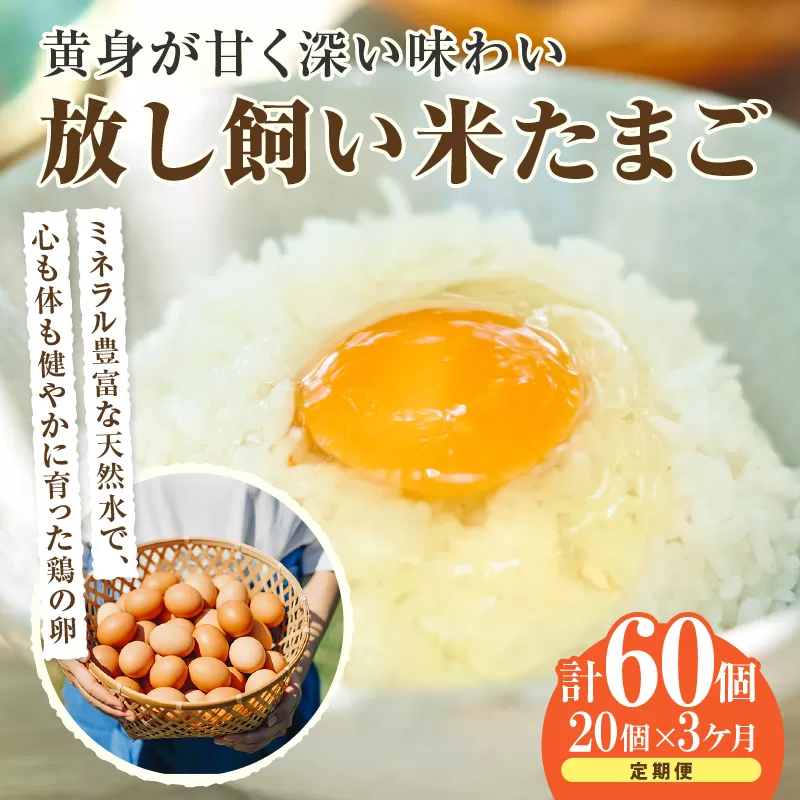 【3ヶ月定期便】放し飼い米たまご15個+5個保証（計20個）