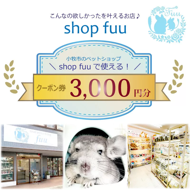 shop fuuで使えるクーポン券（3,000円）［145S74］