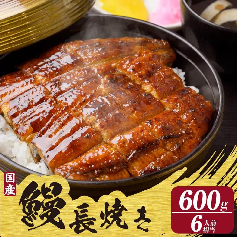 国産特大うなぎ長焼き３尾(約２００ｇ)　合計約６００ｇ（1664）