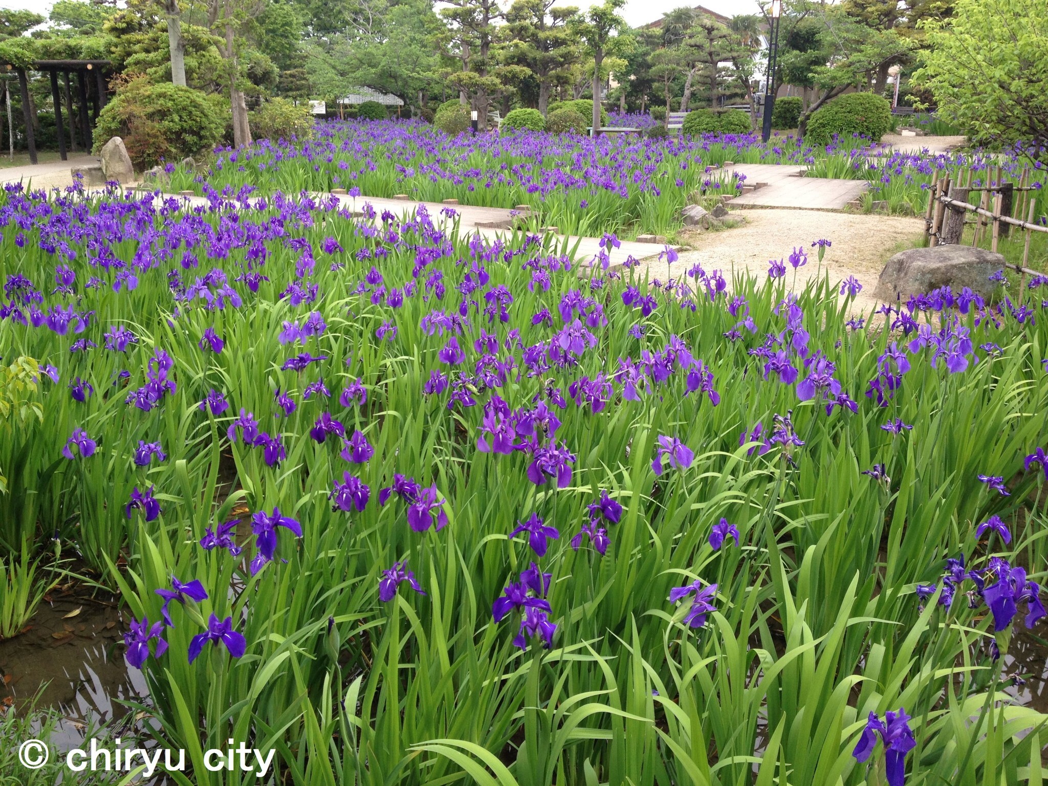 愛知県知立市