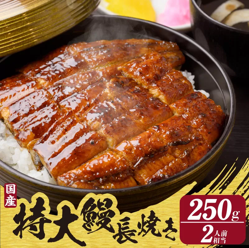 国産特大うなぎ長焼き１尾(約２５０ｇ)（1662）