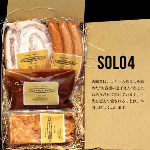 Solo4 ラザニア 煮込みハンバーグ ポルケッタ ポークウィンナー 肉 愛知 日進市 ※配送不可：離島