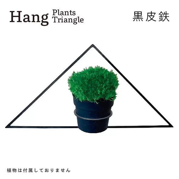 GRAVIRoN Hang Plants シリーズ Triangle 黒皮鉄（プランツハンガー）