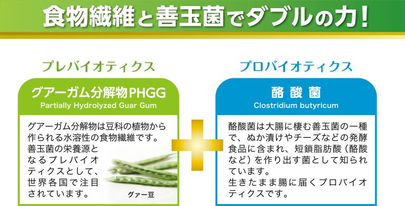 TVで話題！ グアーガム分解物 生きて腸内まで届く 酪酸菌 水溶性食物繊維 サンファイバープラス【スティック】6ｇ×30包 シンバイオティクス 医療  介護 安心 無味無臭 グアーガム分解｜四日市市｜三重県｜返礼品をさがす｜まいふる by AEON CARD