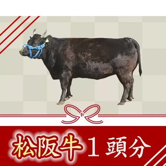 【1500-1】松阪牛1頭分　〜牛タンからシャトーブリアンまで余すことなくお届けします〜