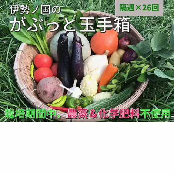 【26-2】伊勢ノ国のがぶっと野菜玉手箱　：　隔週1回定期便（大人4人1週間分）26回