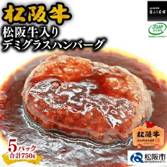 【1-242】松阪牛入りデミグラスハンバーグ