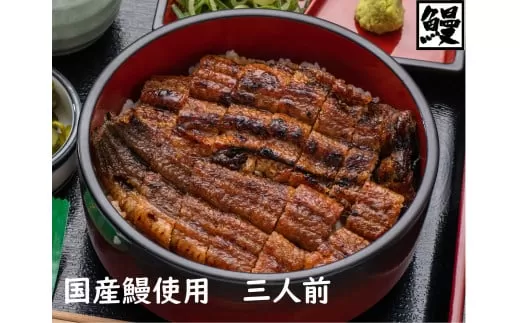 おうちでひつまぶし　3人前／炭火焼きうなぎ