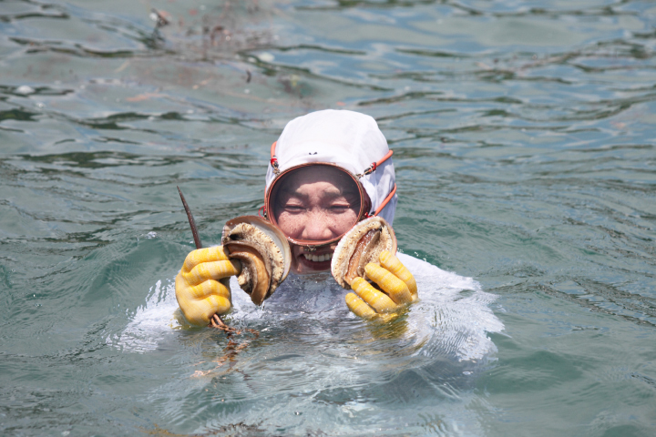 歴史ある海女漁。海女さん日本一のまち