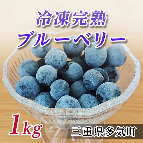 FR-01　無農薬栽培　冷凍完熟ブルーベリー1ｋｇ