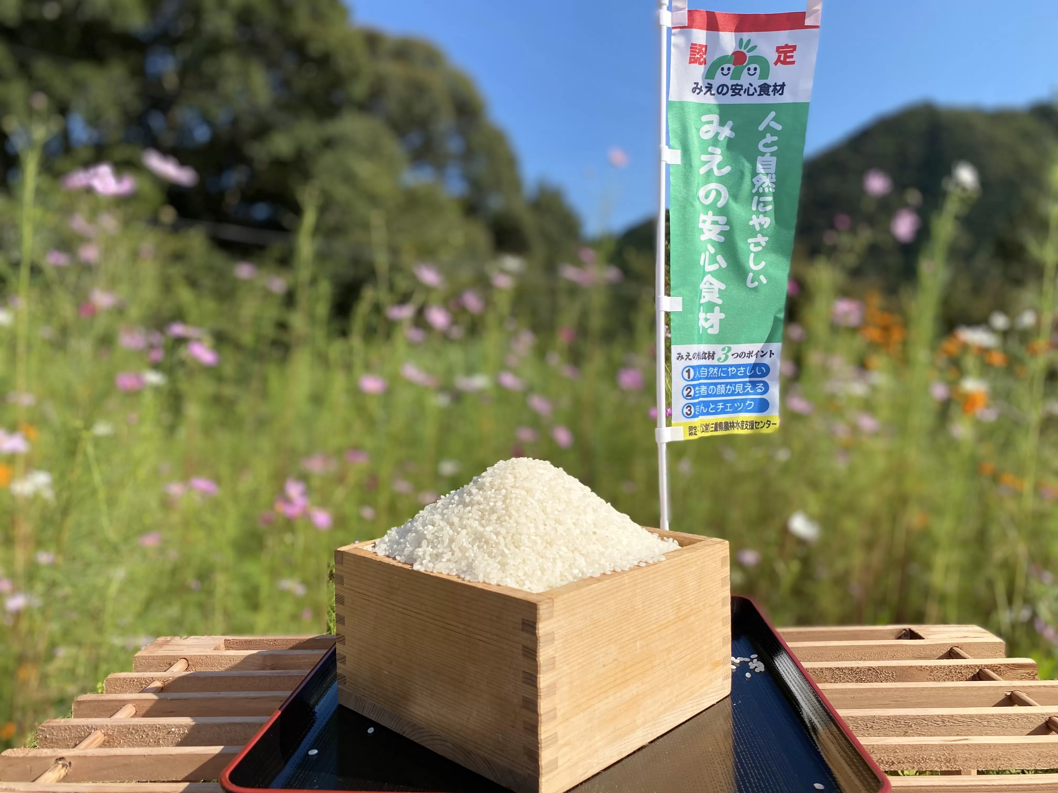 GJ-08　薬草の里  れんげ米 5kg | 元丈の館 化学肥料 不使用 みえ 安心食材認定 国産  コシヒカリ