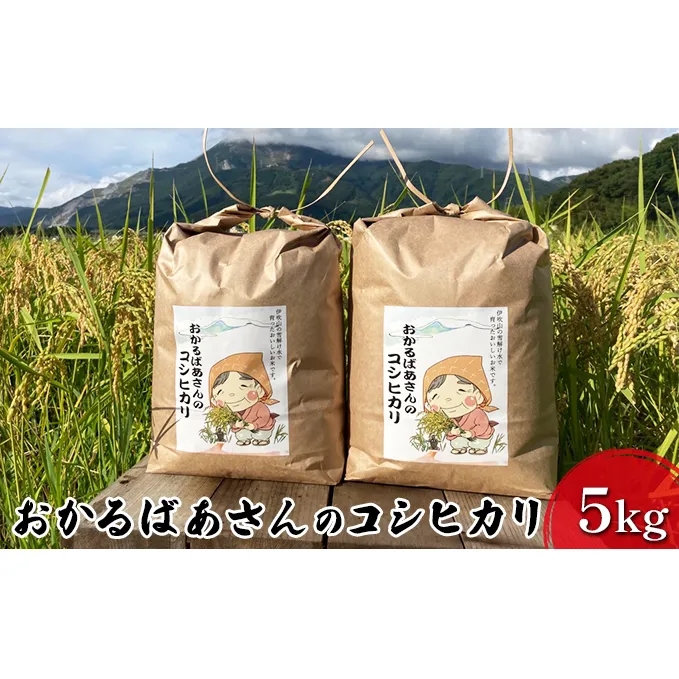 【令和6年産新米予約受付】おかるばあさんのコシヒカリ（5kg）