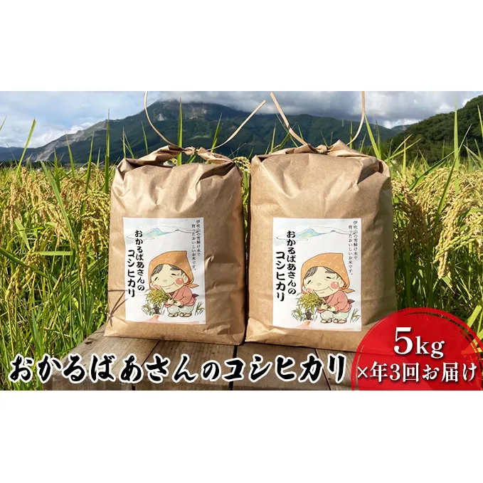 【令和6年産新米予約受付】【5kg×3か月連続お届け】おかるばあさんのコシヒカリ