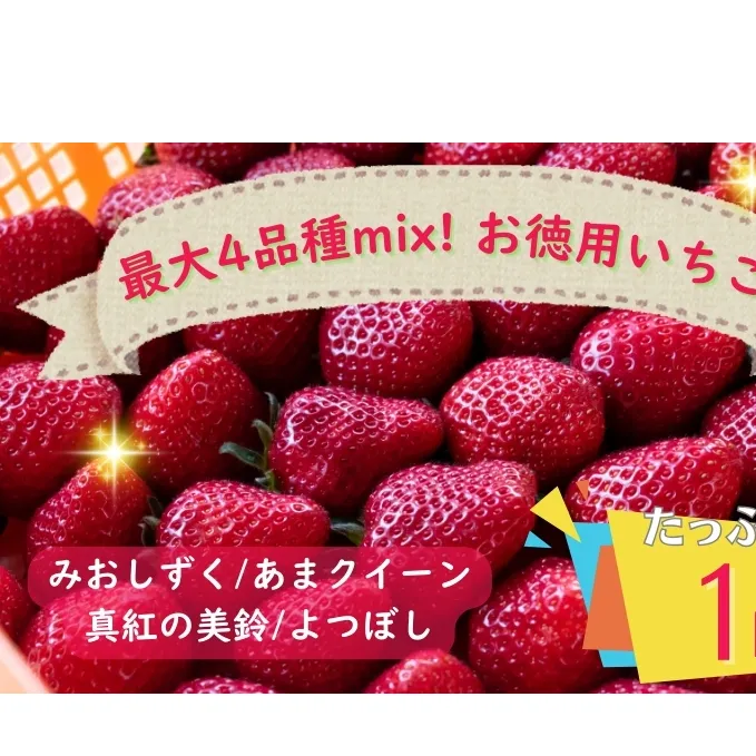 【たっぷり最大4品種ミックス】お徳用いちご(1kg超入り)※本州限定