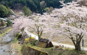 いのちを育む 三和・大原