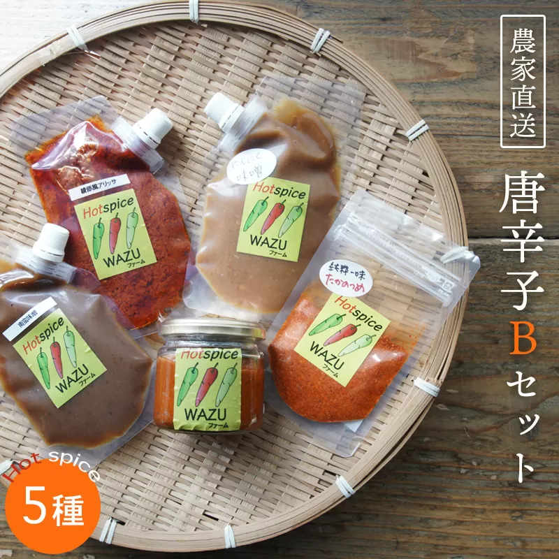 【農家直送】唐辛子Bセット（赤柚子胡椒 130g、一味(鷹の爪)15g 、南蛮味噌 130g、にんにく味噌 130g、アリッサ 130g）トウガラシ 唐辛子 とうがらし 自家栽培 綾部 WAZUファーム スパイス 詰め合わせ 唐辛子セット 唐辛子詰め合わせ 辛い 京都 