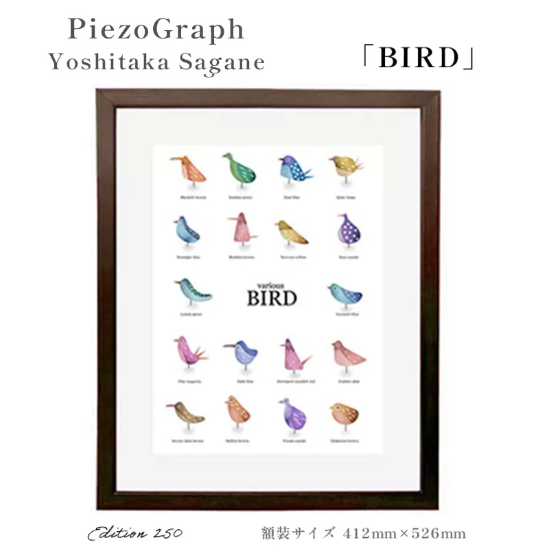 相根良孝 ピエゾグラフ 絵画「BIRD」 額装サイズ412mmx526mm 額縁付き アート インテリア 現代版画 出産祝い 進学祝い 成人祝い 就職祝い 退職記念 結婚祝い 結婚記念のお祝い お誕生日 長寿のお祝い 新築祝い 開業のお祝い 綾部 京都