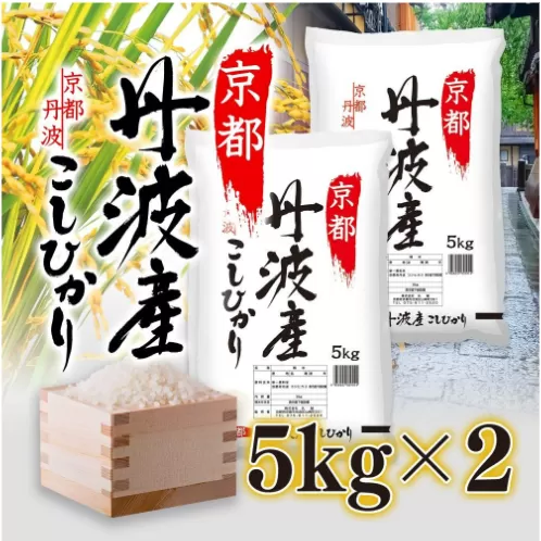 京都府丹波産こしひかり 10kg（5kg×2）京都 綾部 お米 コメ １０ キロ 精米 白米 こしひかり