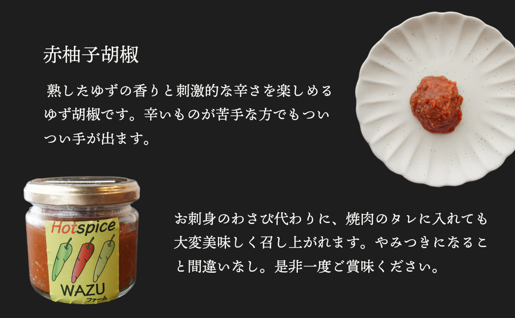 農家直送】唐辛子Bセット（赤柚子胡椒 130g、一味(鷹の爪)15g 、南蛮味噌 130g、にんにく味噌 130g、アリッサ 130g）トウガラシ 唐辛子  とうがらし 自家栽培 綾部 WAZUファーム スパイス 詰め合わせ 唐辛子セット 唐辛子詰め合わせ 辛い 京都 ｜綾部市｜京都府｜返礼品を ...