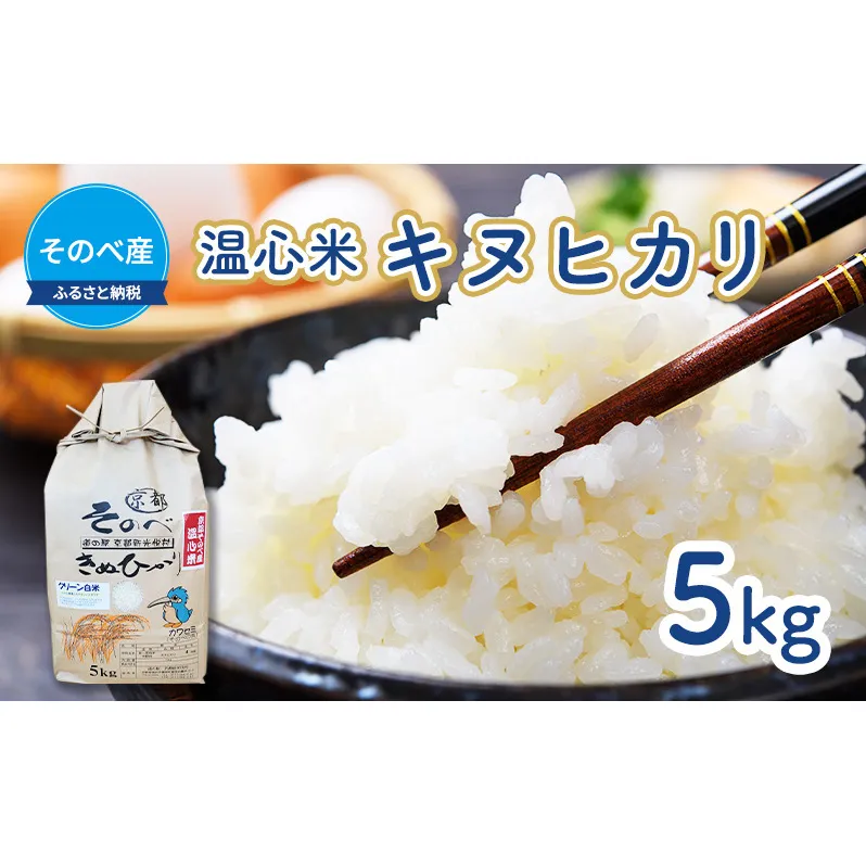 米 キヌヒカリ 5kg ×1袋 そのべ産 温心米 2023年度産 お米 単一原料米 きぬひかり 丹波 精米 白米 こめ コメ 京都