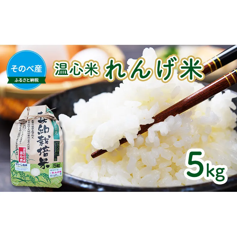 米 コシヒカリ れんげ米 5kg ×1袋 そのべ産 温心米 2023年度産 お米 単一原料米 こしひかり 丹波 精米 白米 こめ コメ 京都