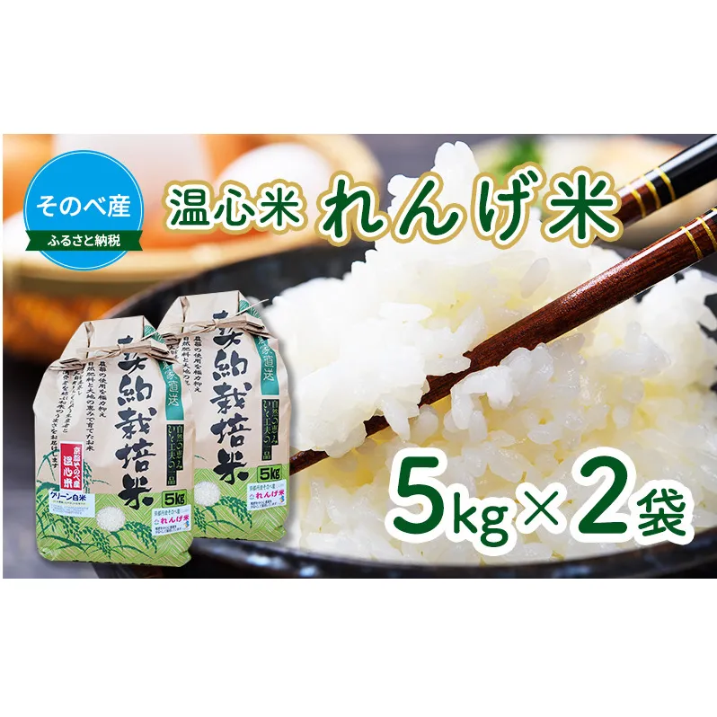 米 コシヒカリ れんげ米 5kg ×2袋 そのべ産 温心米 2023年度産 お米 単一原料米 こしひかり 丹波 精米 白米 こめ コメ 京都