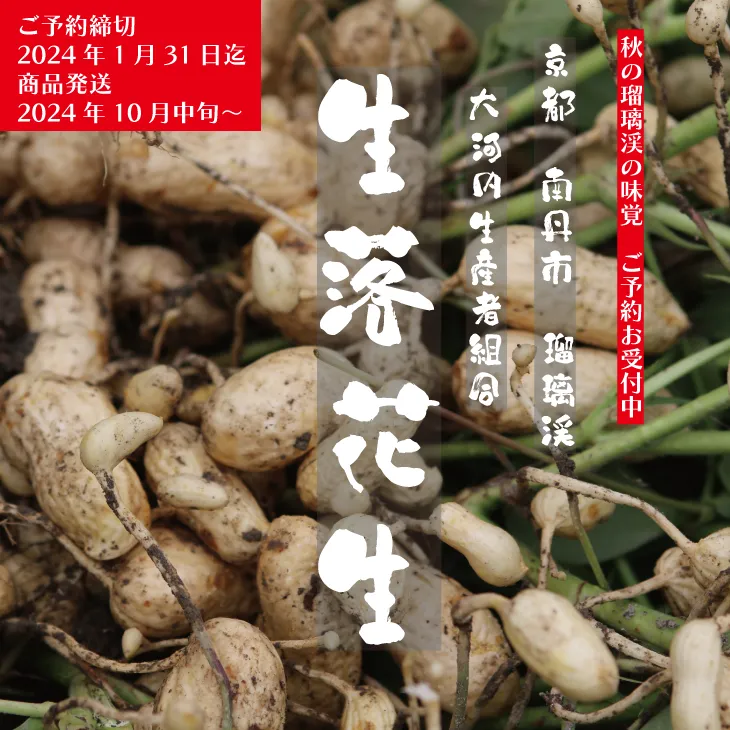 落花生 京都 2024年 先行予約 生落花生 るり渓 大河内生産組合発 丹波 野菜 国産 ピーナッツ おつまみ 先行 2024 ※北海道・沖縄・離島への発送不可