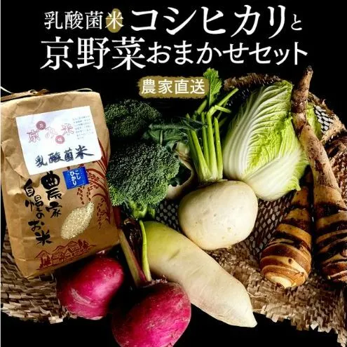 【数量限定販売】乳酸菌米コシヒカリと京野菜おまかせセット　≪予約≫　※11月1日より順次発送			