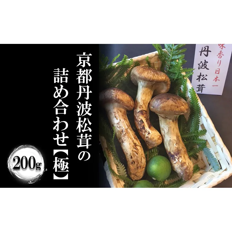 京都丹波松茸の詰め合わせ　200g【極】まつたけ 数量限定 期間限定 きのこ 秋 天然 国産 国内産 京都府 南丹市　※2024年10月中旬以降順次発送