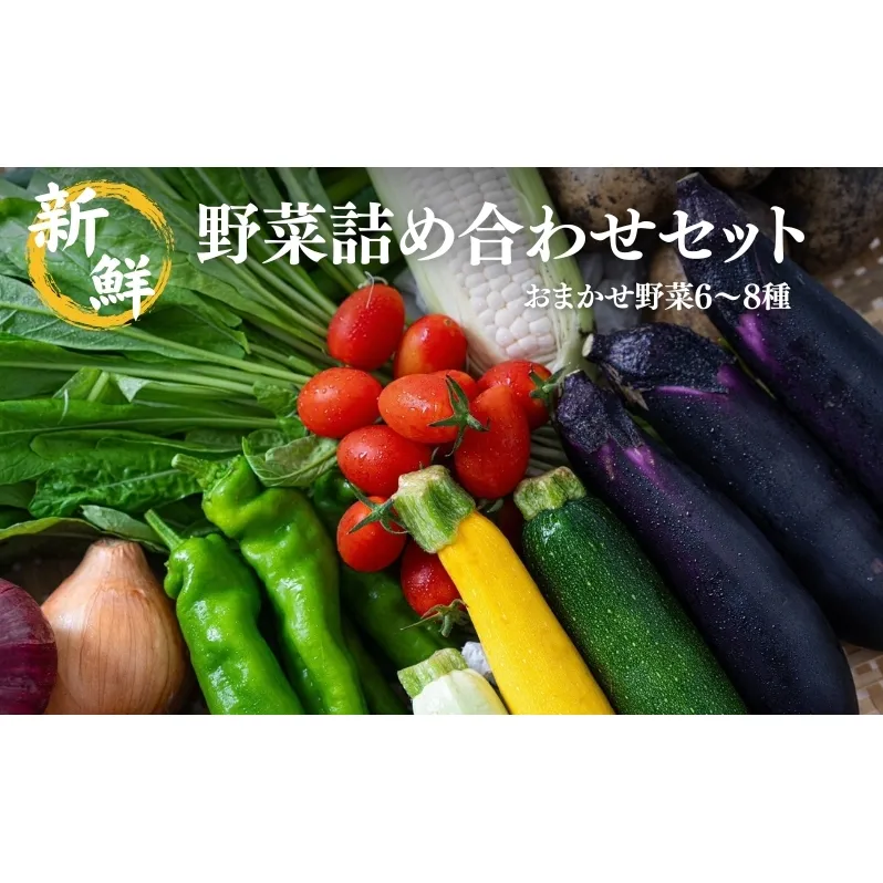 新鮮 野菜 詰め合わせ セット