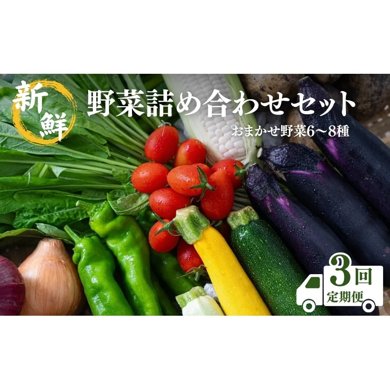 【定期便3回】新鮮 野菜 詰め合わせ セット