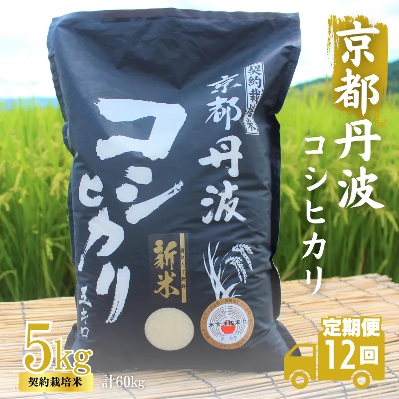 【12カ月定期便】令和6年産 新米 京都丹波産 こしひかり 5kg 合計60kg