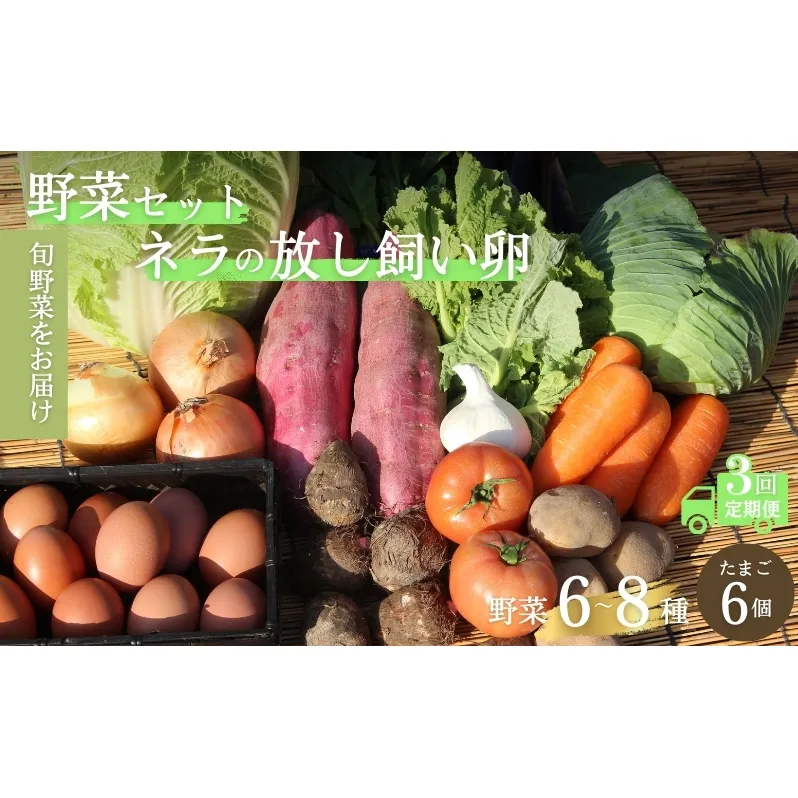 【定期便3回】野菜セット ネラの卵6個入り