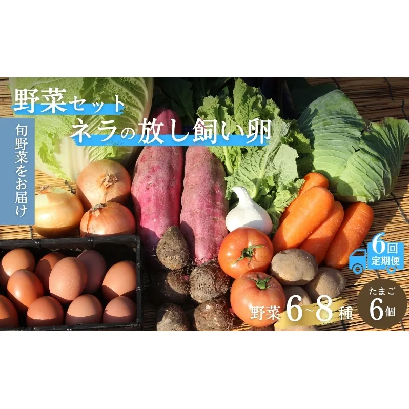 【定期便6回】野菜セット ネラの卵6個入り