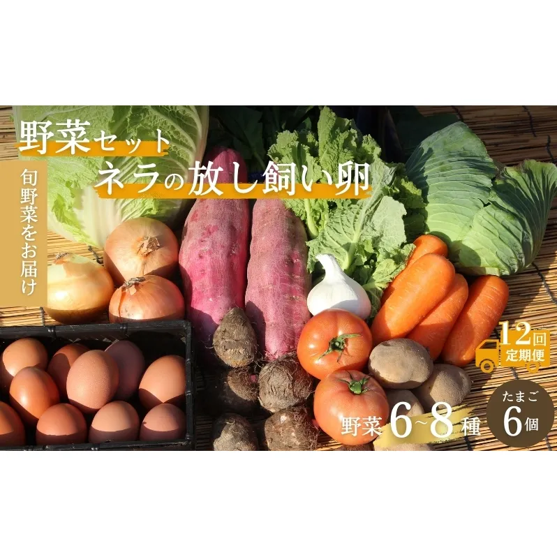 【定期便12回】野菜セット ネラの卵6個入り