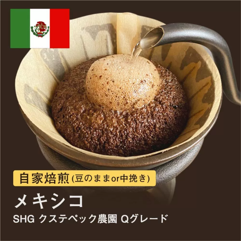 【豆】#031 メキシコ SHG クステペック農園 Qグレード コーヒー豆 310g 当日焙煎 大山珈琲