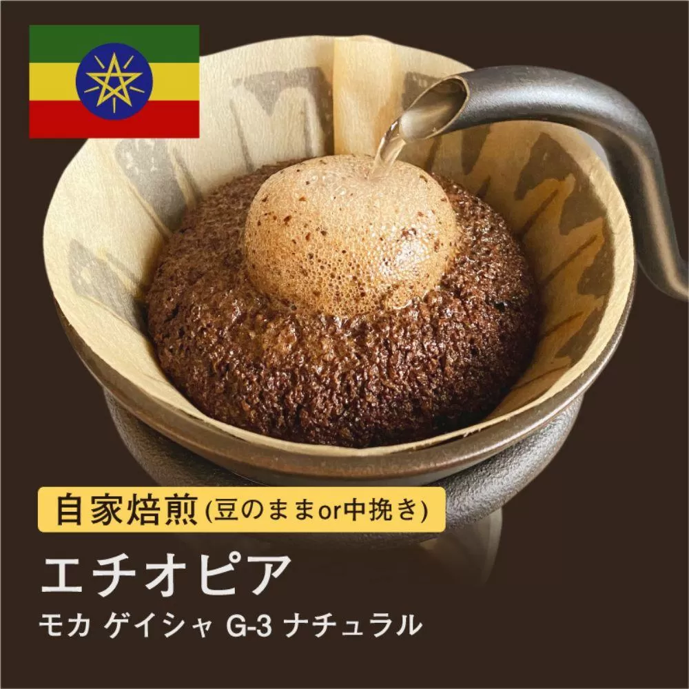 【粉】#036 モカ ゲイシャ G-3 ナチュラル エチオピア コーヒー豆 310g 当日焙煎 大山珈琲